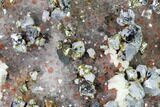Hematite Quartz, Chalcopyrite, Galena & Pyrite Association #170244-1